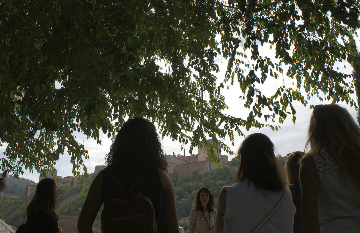 Tour privado por el Albaicín y el Sacromonte