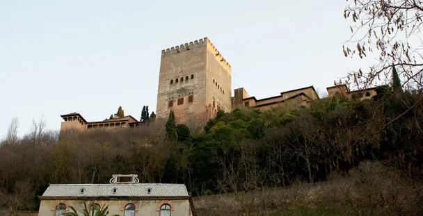 Private tour to the Alhambra and Moorish Granada