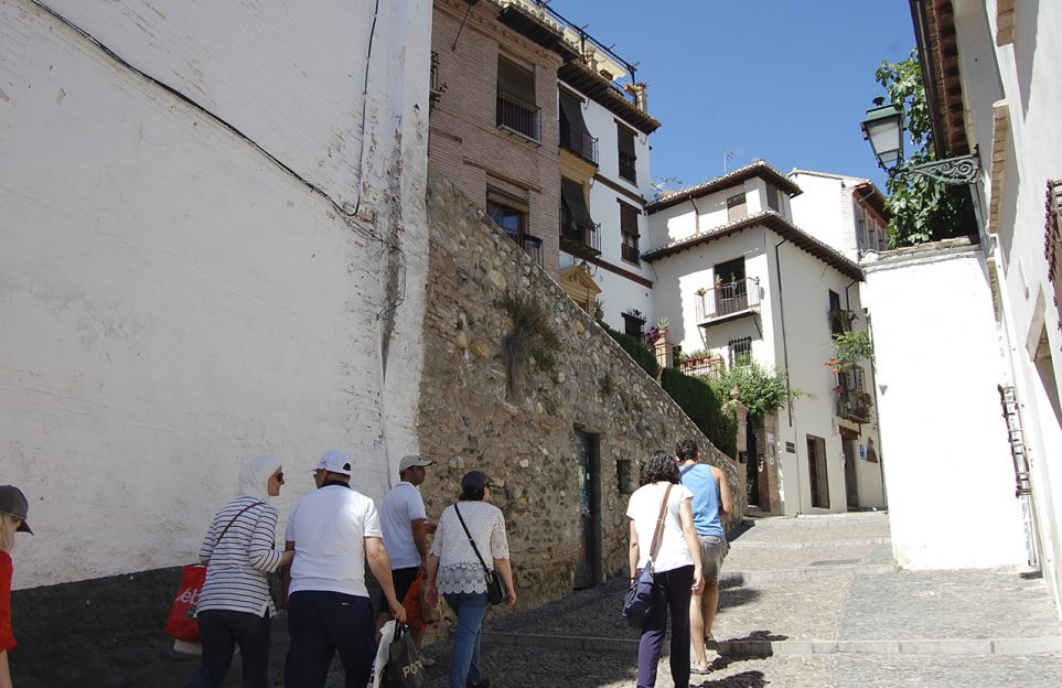 Guided tour in Granada, small group Premium