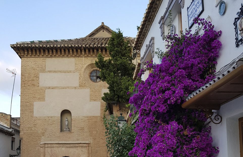 Albaicin and Sacromonte twilight walking tour. Join a premium small group