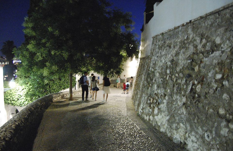 Albaicin and Sacromonte twilight walking tour. Join a premium small group