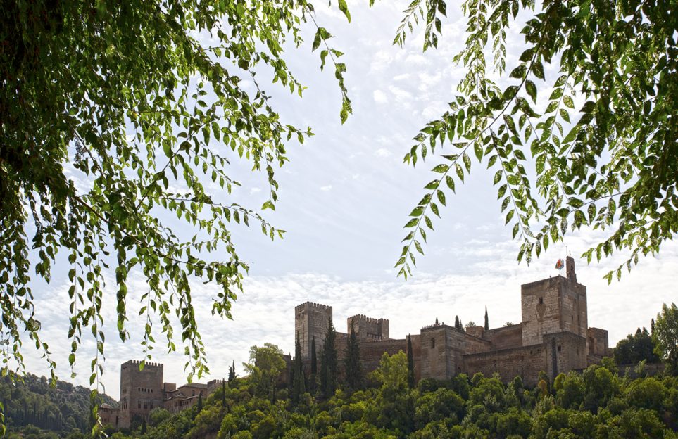 L’Albaicin et le Sacromonte en visite privée