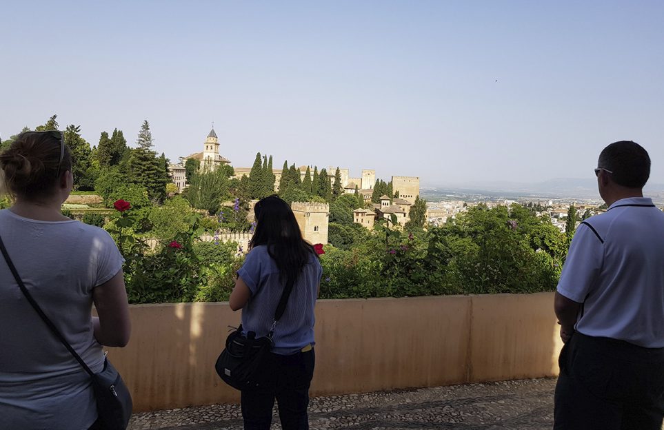 Alhambra and Generalife guided tour for small groups