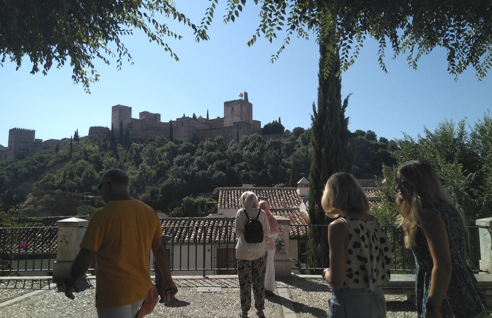 Private tour to Granada city