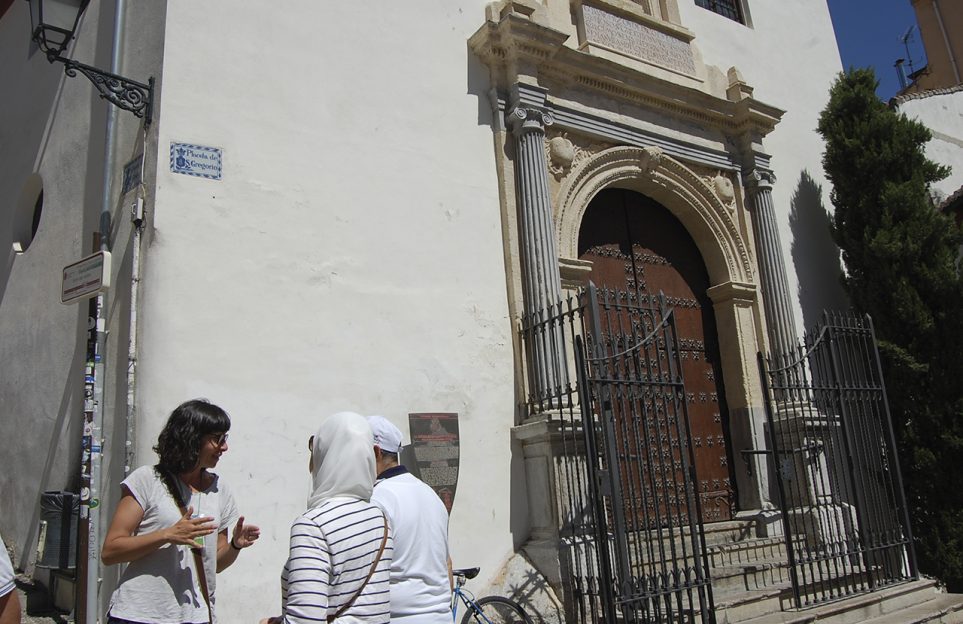 Guided tour in Granada, small group Premium