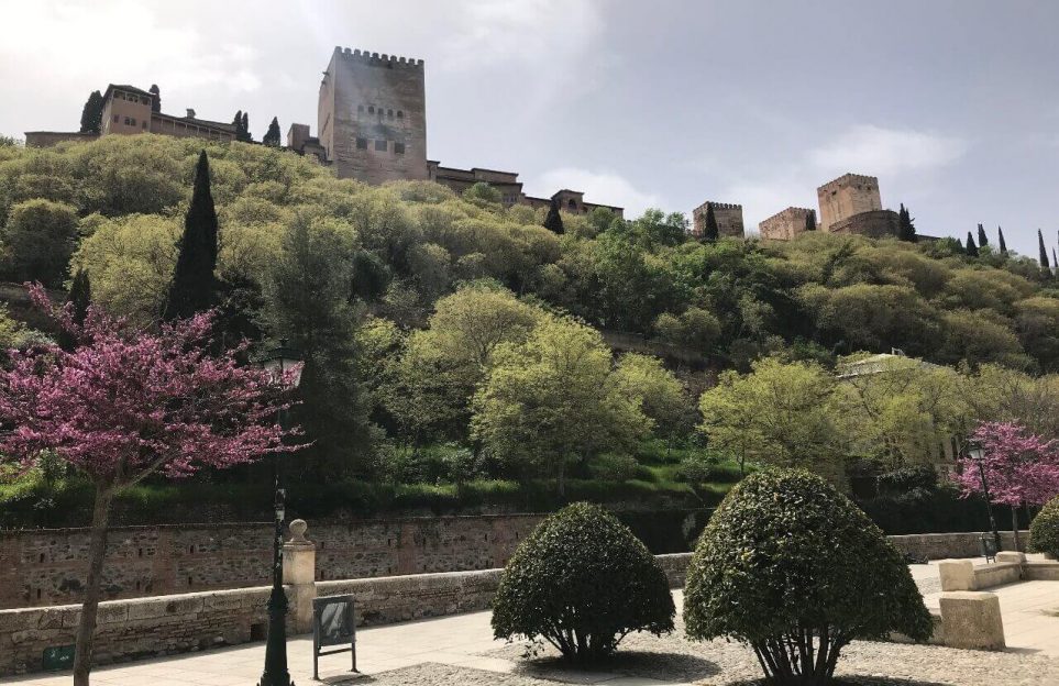 Private live-tour to the Center of Granada. On streaming