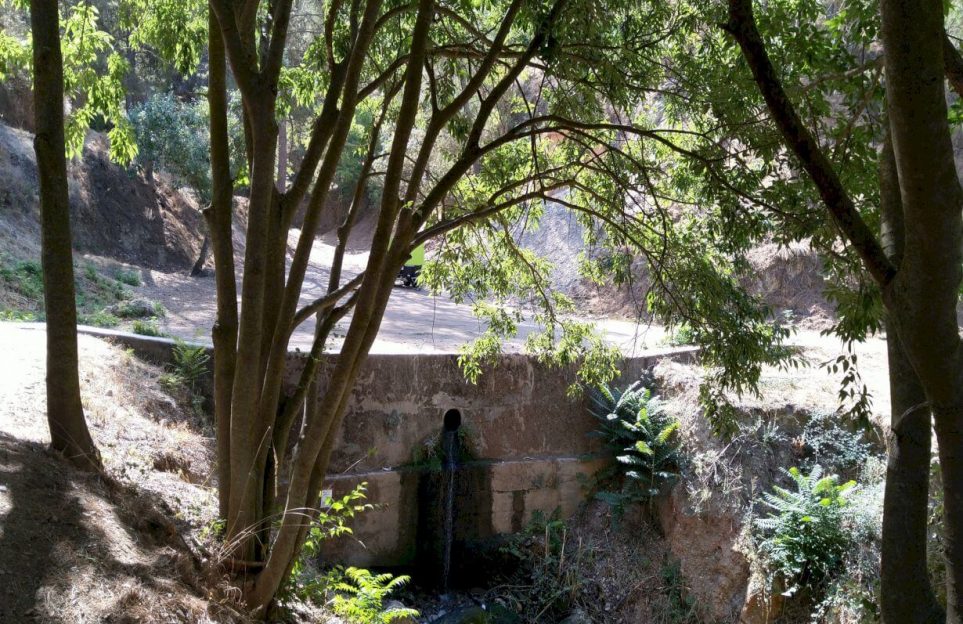 Acequia Real: randonnée culturelle autour du Generalife