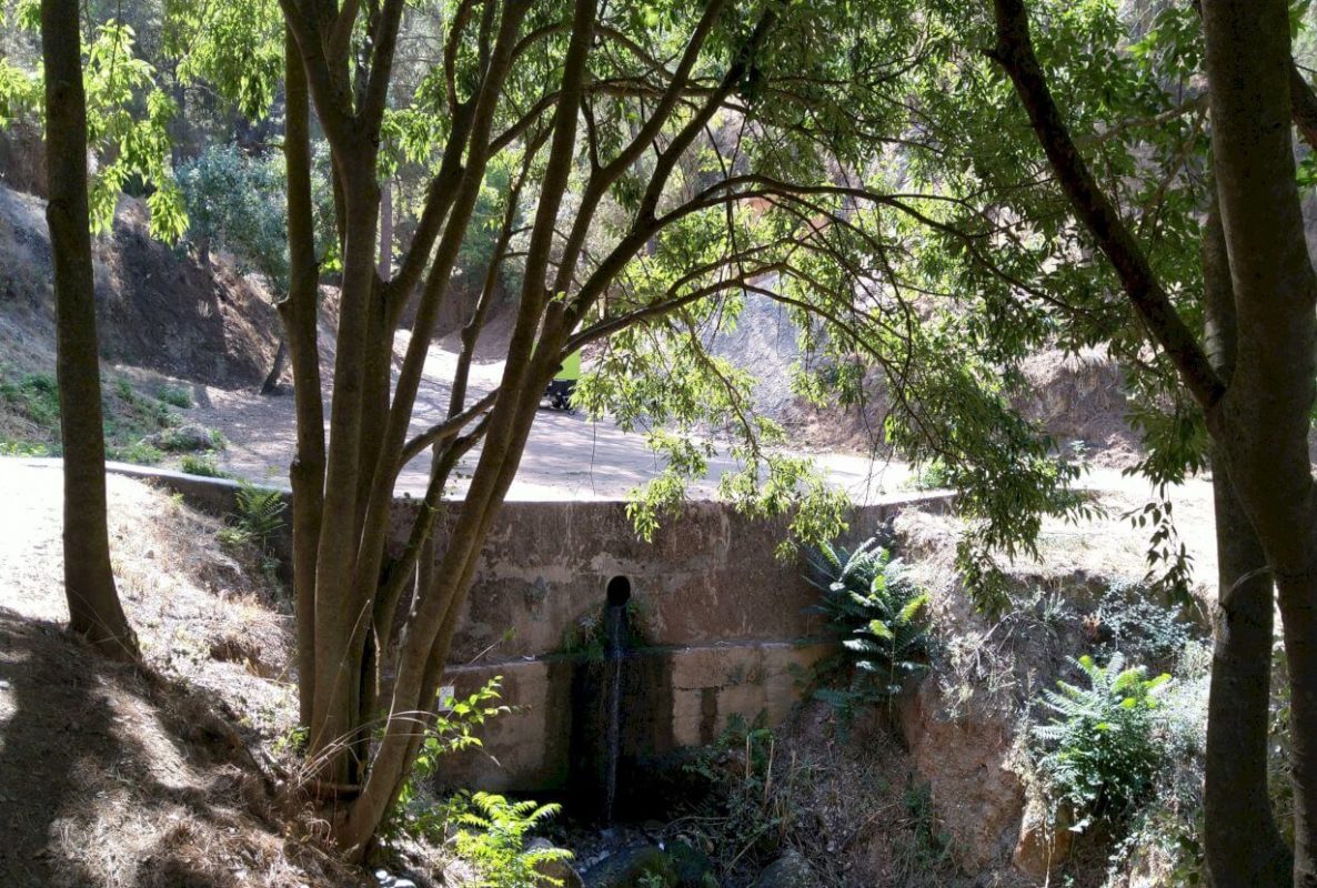 Acequia Real: senderismo cultural por el entorno del Generalife