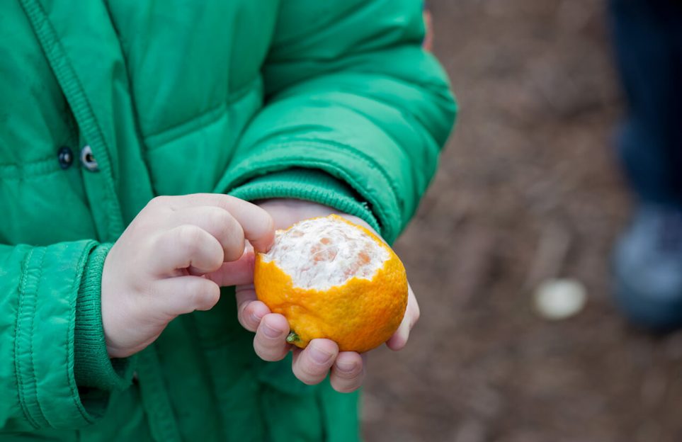 niño pelando una naranja