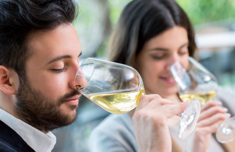 Taller virtual: Iniciación a la cata de vinos