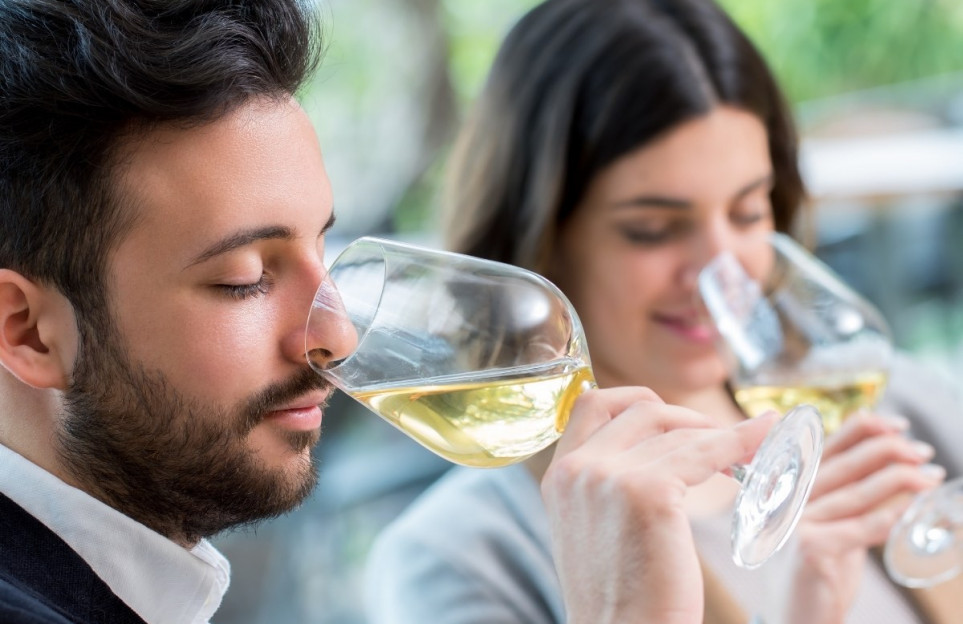 Taller virtual: Iniciación a la cata de vinos