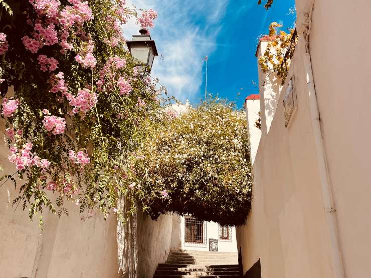 romantic street in the albaicin